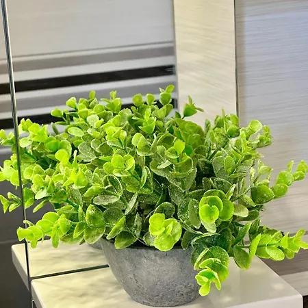 Odmor - Krajina Iii *